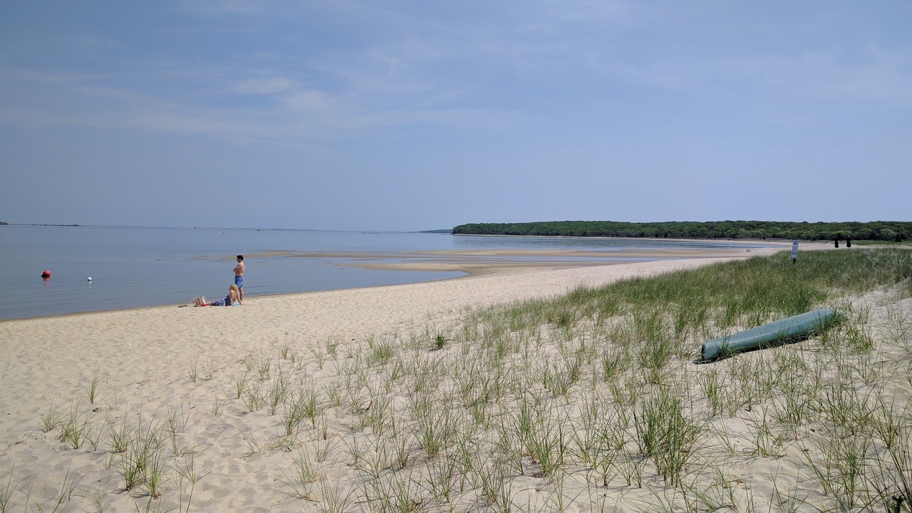 Photo of Others in Sag Harbor