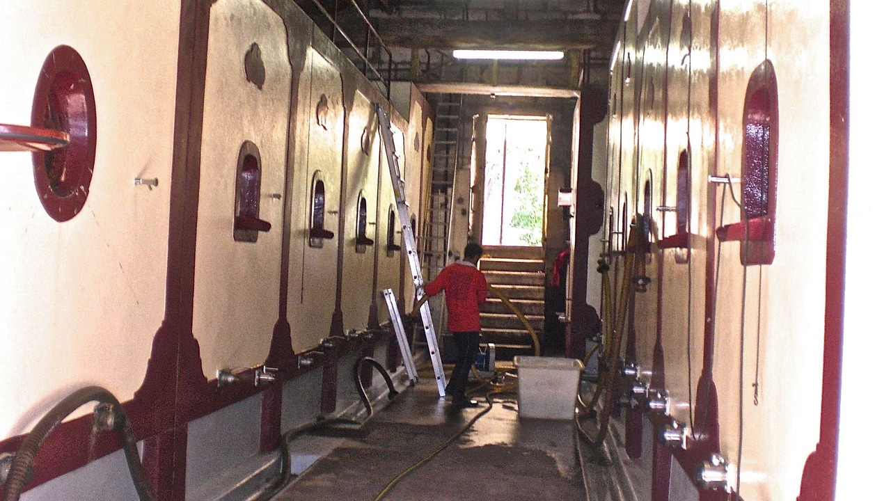 Photo of Others in Fronsac