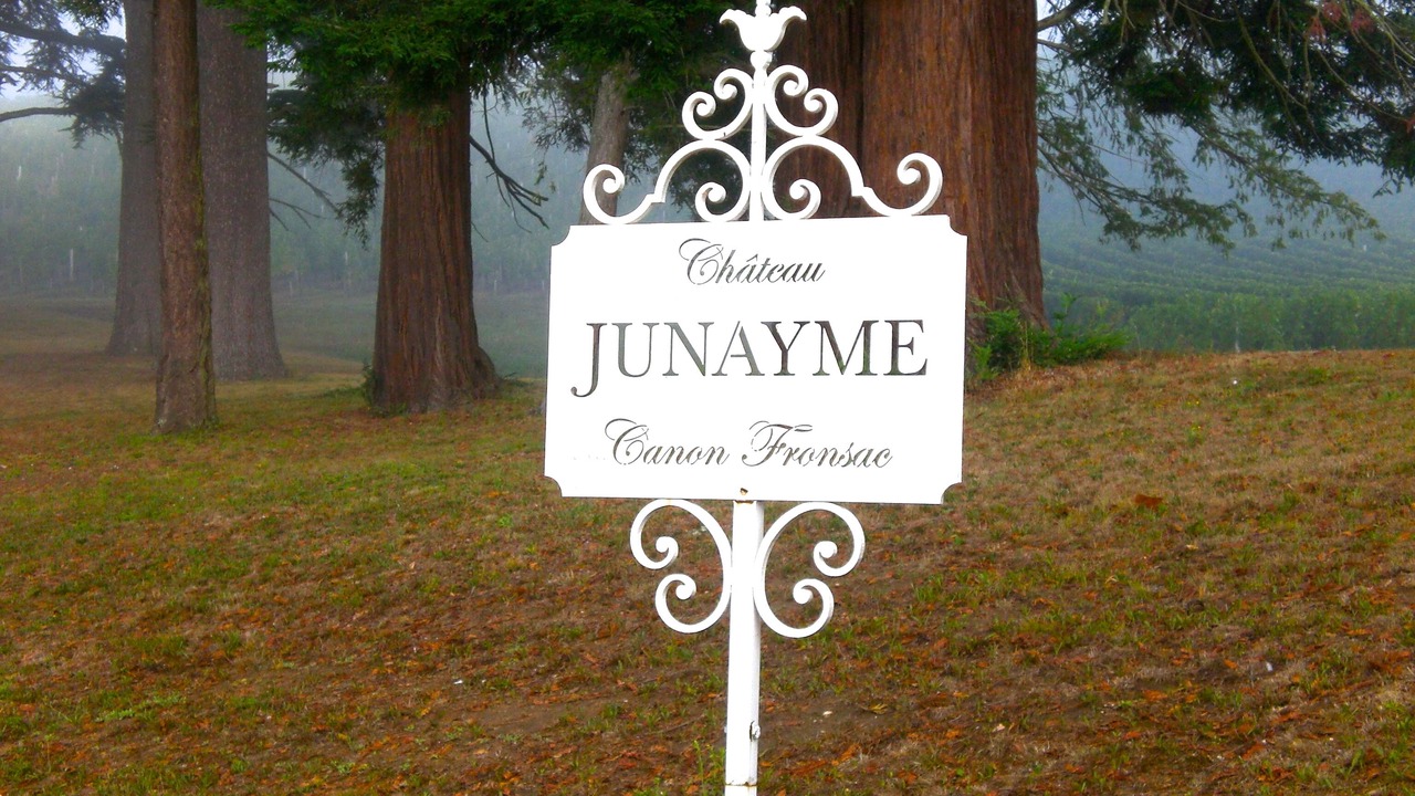 Photo of Outdoor in Fronsac