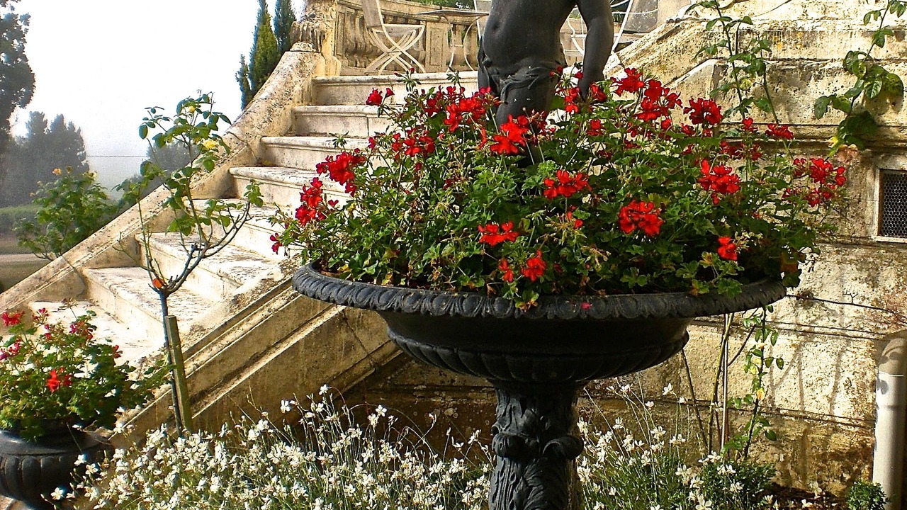 Photo of Outdoor in Fronsac