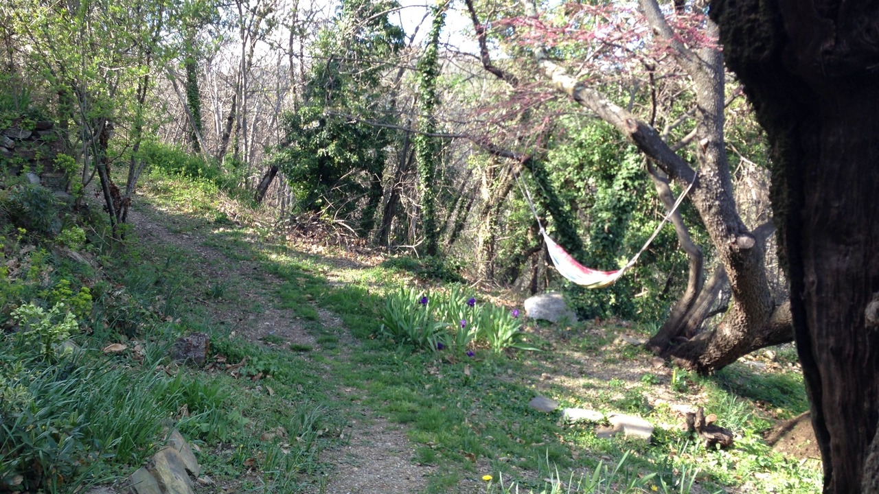 Photo of Outdoor in Saint-Laurent-le-Minier