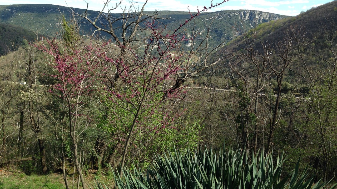 Photo of Outdoor in Saint-Laurent-le-Minier