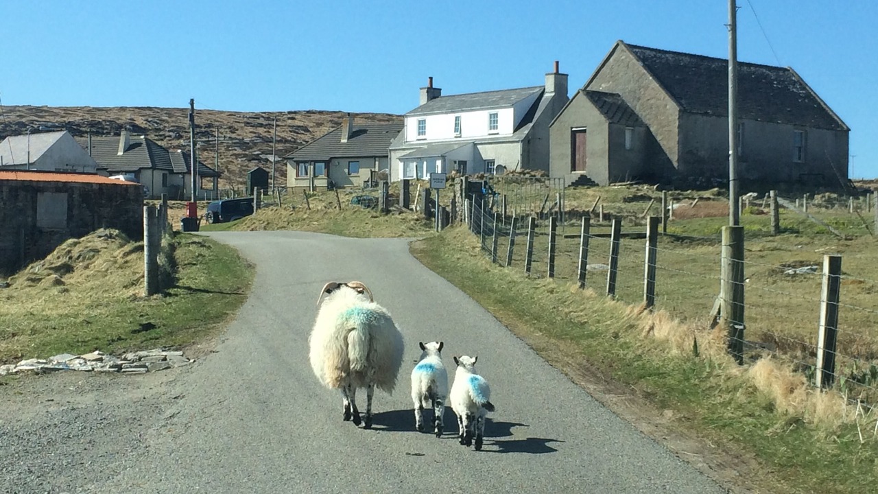 Photo of Others in Outer Hebrides