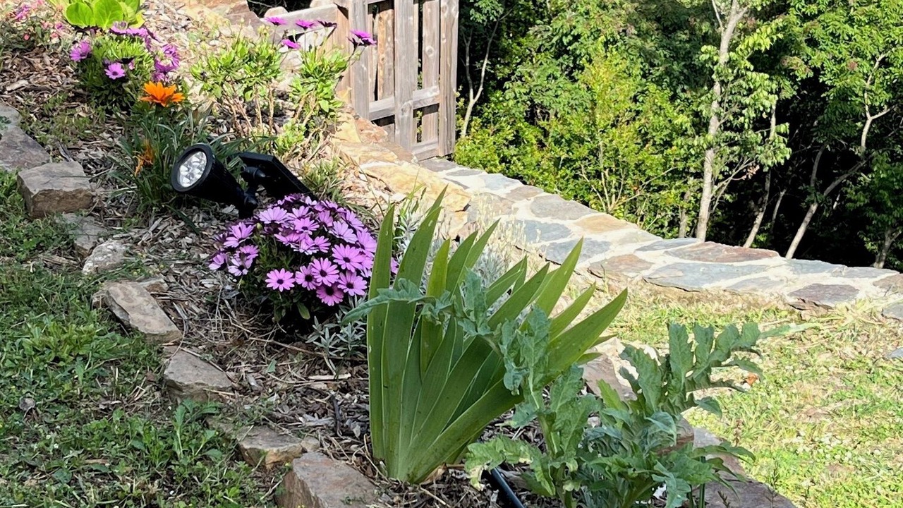 Photo of Outdoor in Pommiers