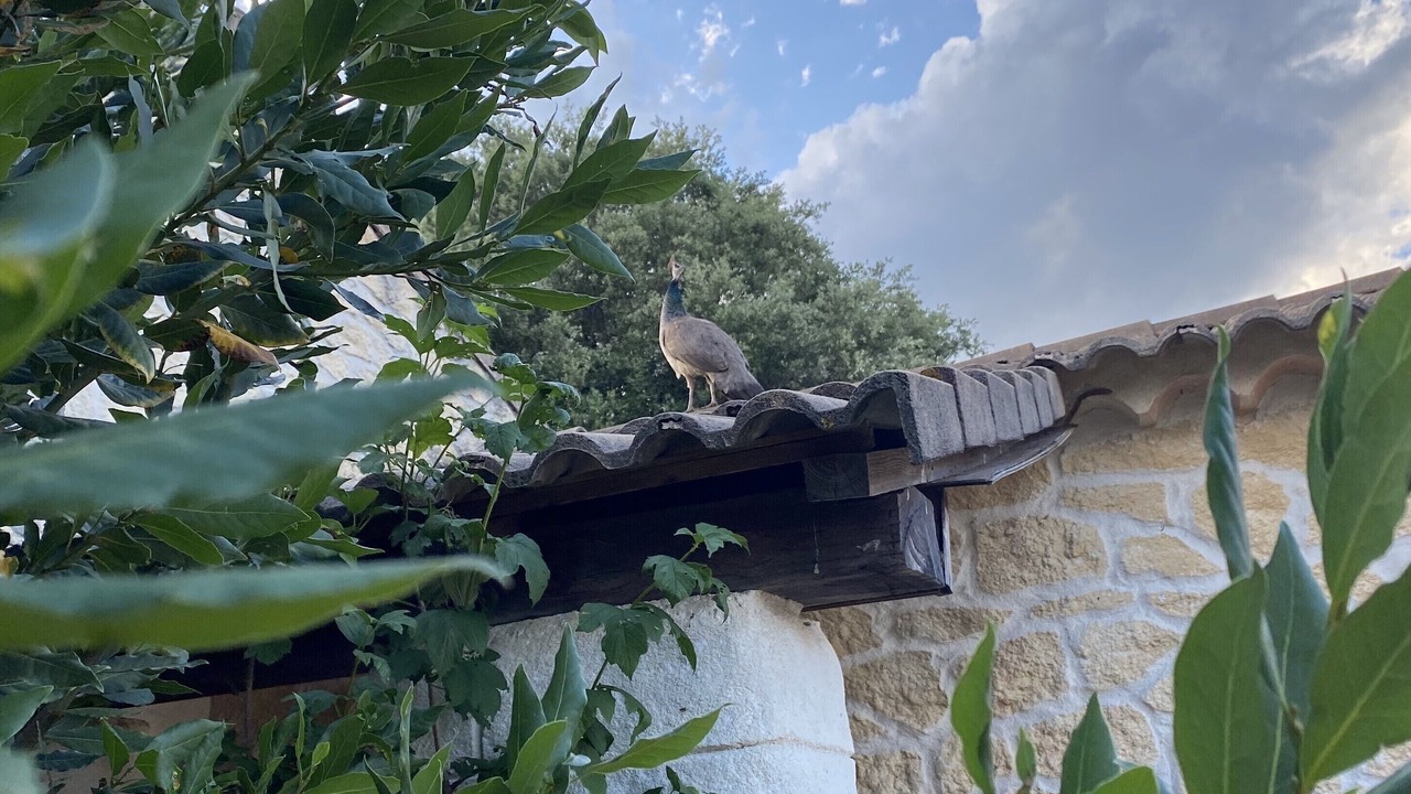 Photo of Outdoor in Vallerargues