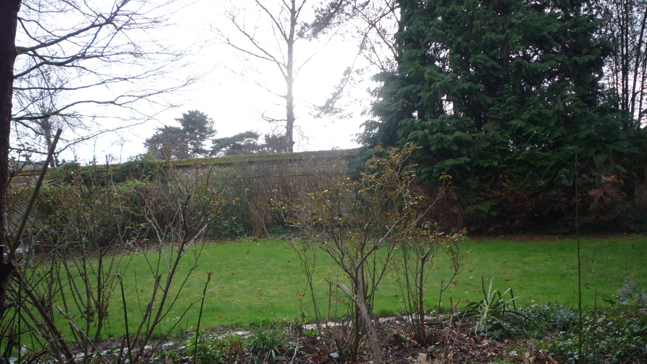 Photo of Outdoor in Thomery