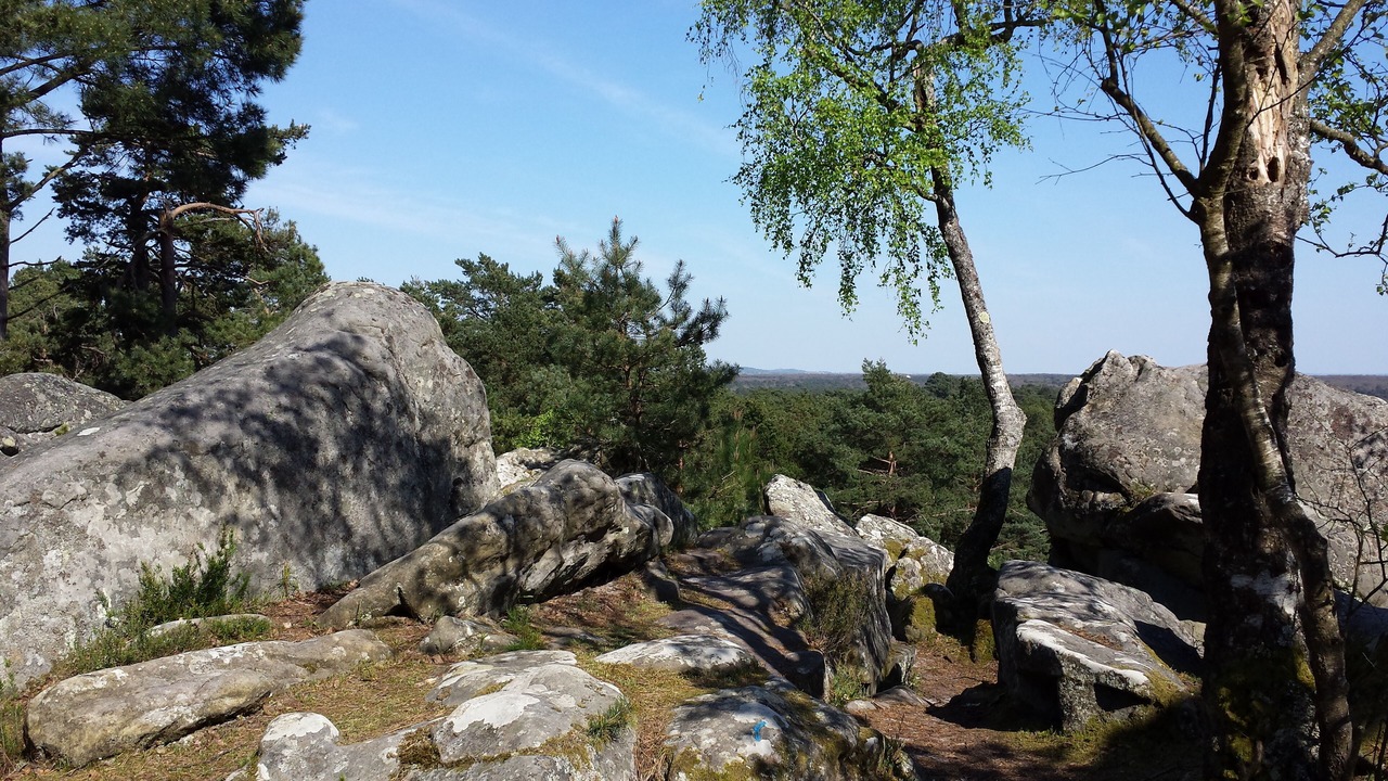 Photo of Outdoor in Thomery