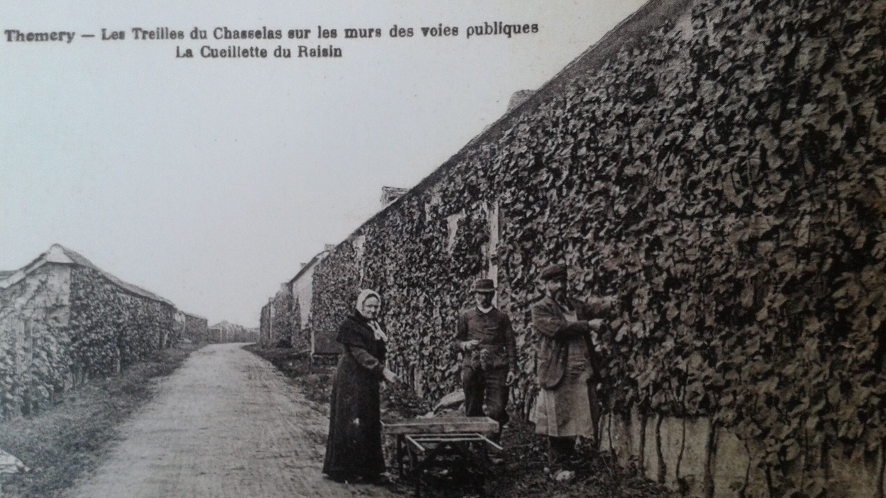 Photo of Outdoor in Thomery