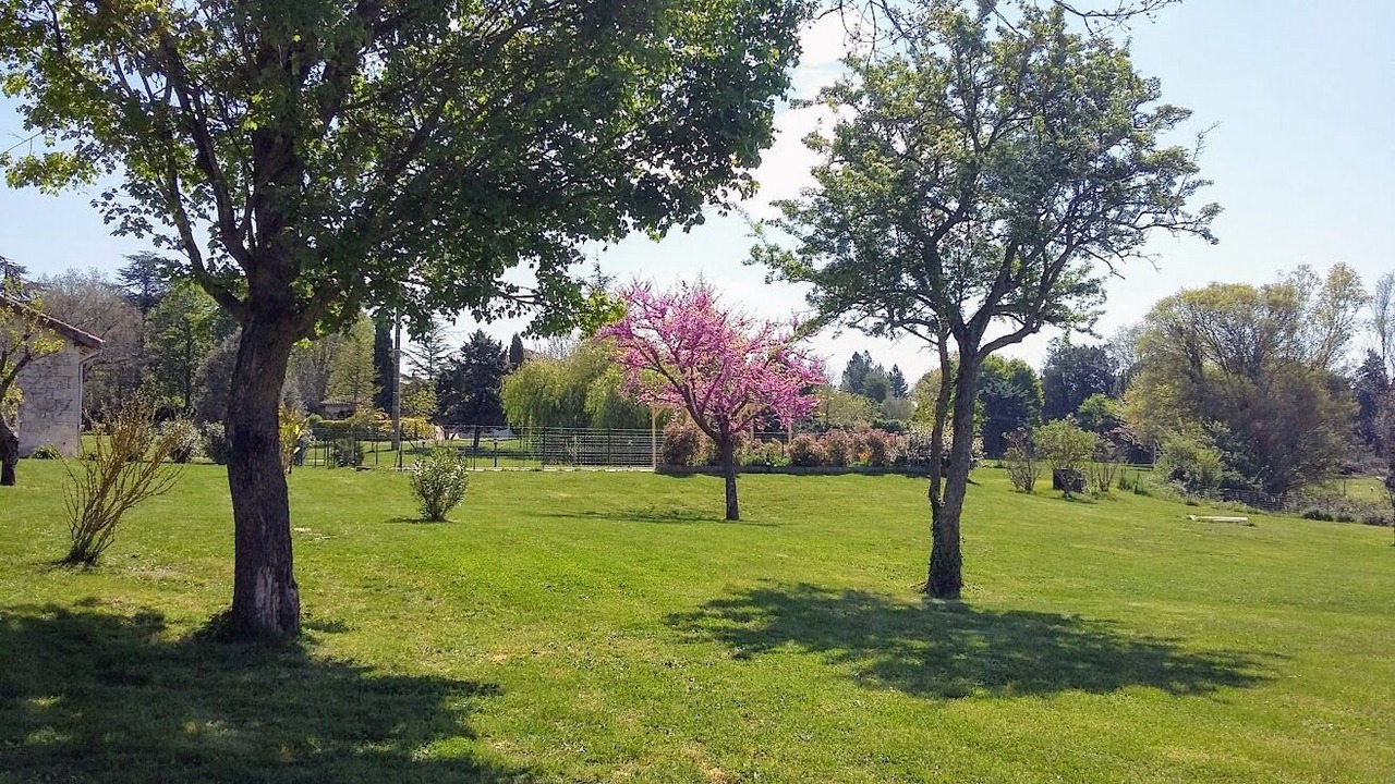 Photo of Outdoor in Lectoure