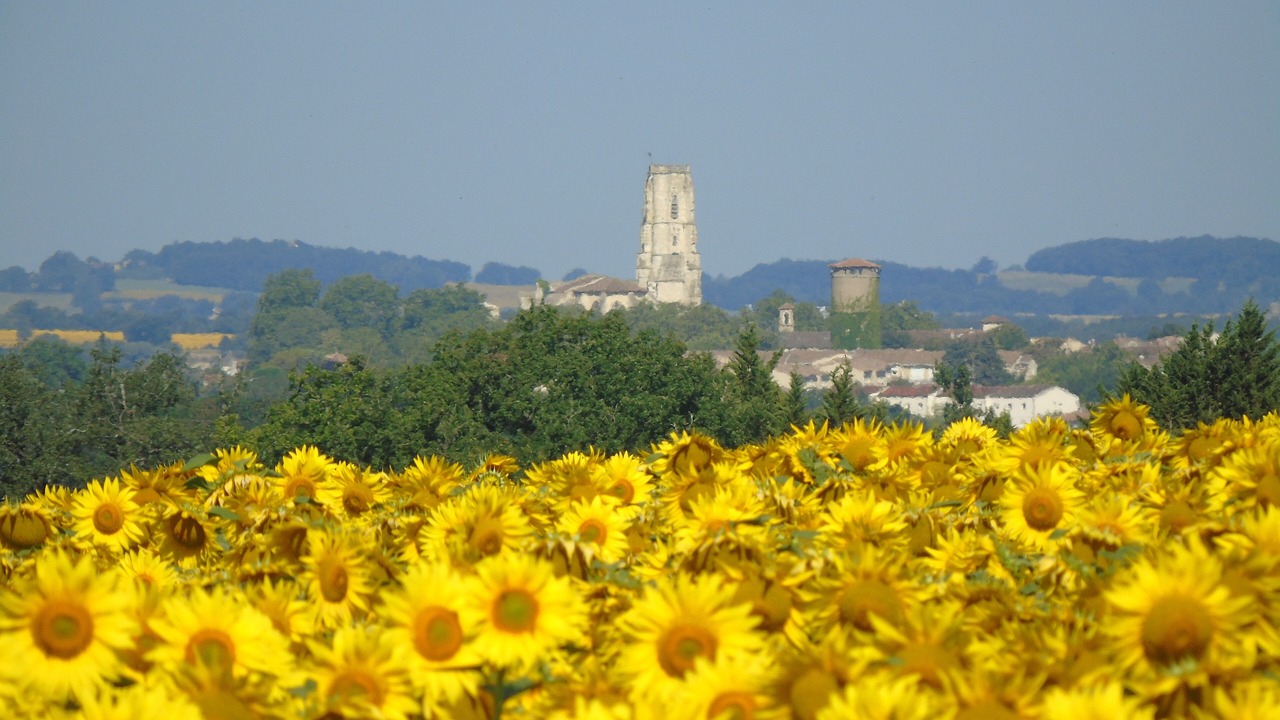 Photo of Outdoor in Lectoure