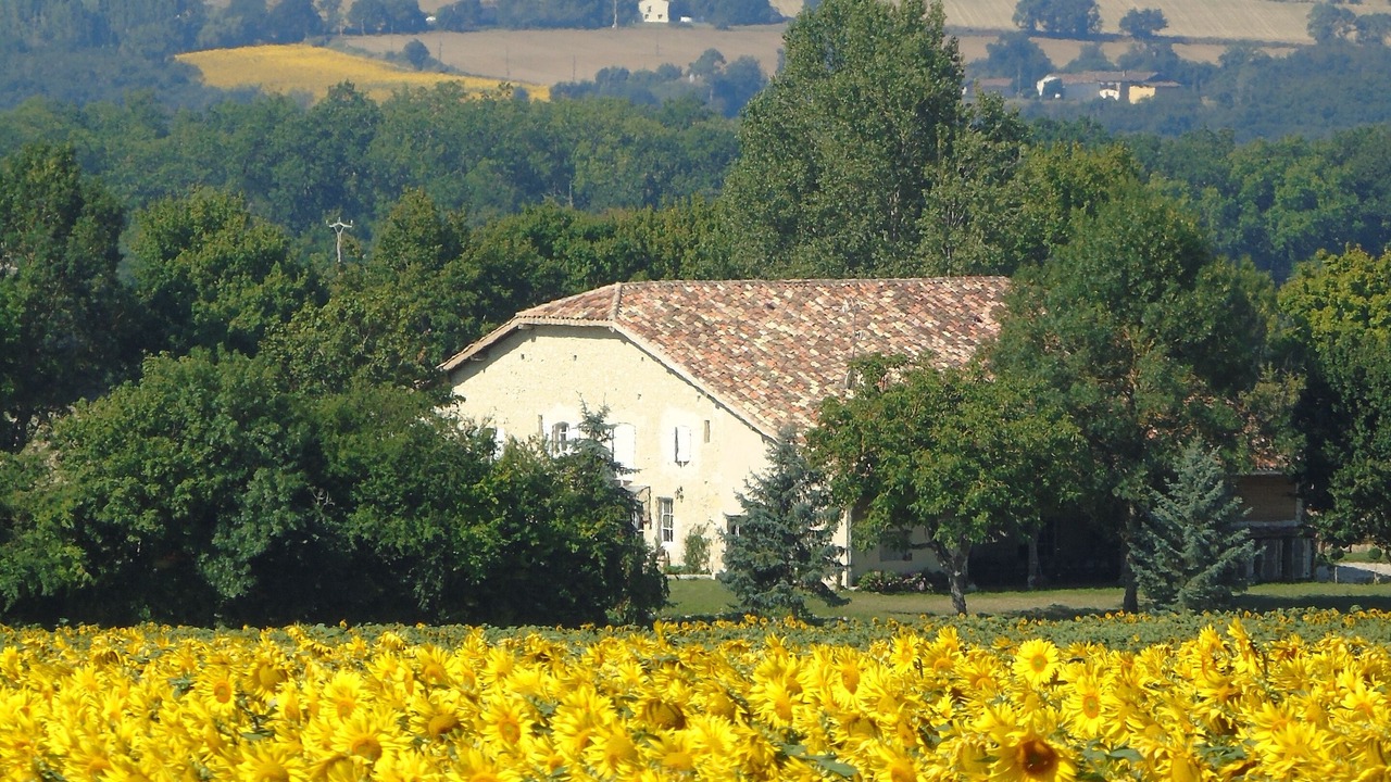Photo of Outdoor in Lectoure