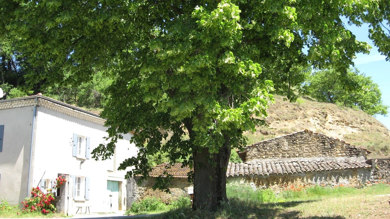 Photo of Outdoor in Chantemerle-les-Bles
