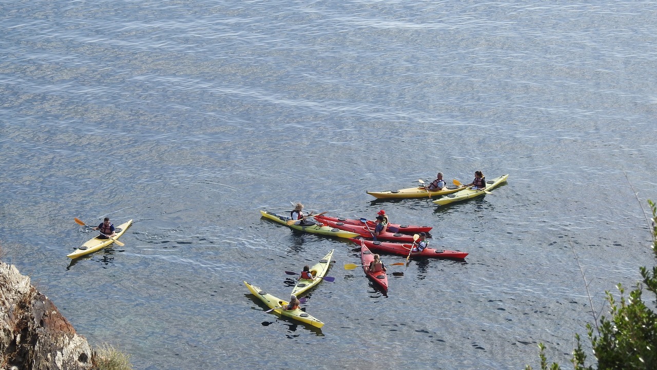 Photo of Others in Banyuls-sur-Mer