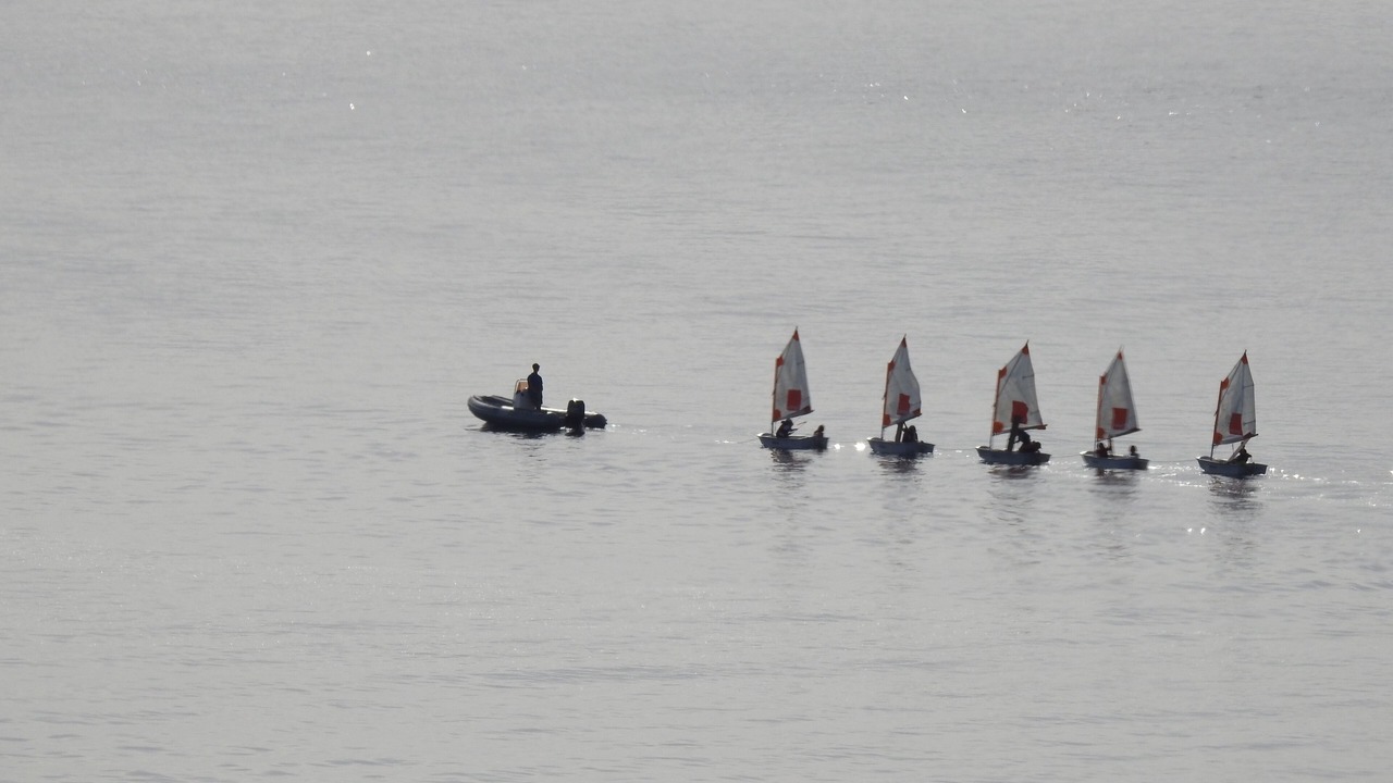 Photo of Others in Banyuls-sur-Mer