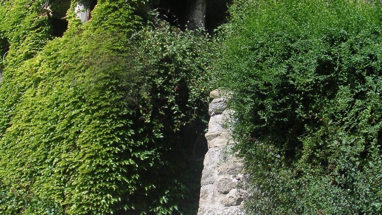 Photo of Outdoor in Chateauneuf-de-Vernoux