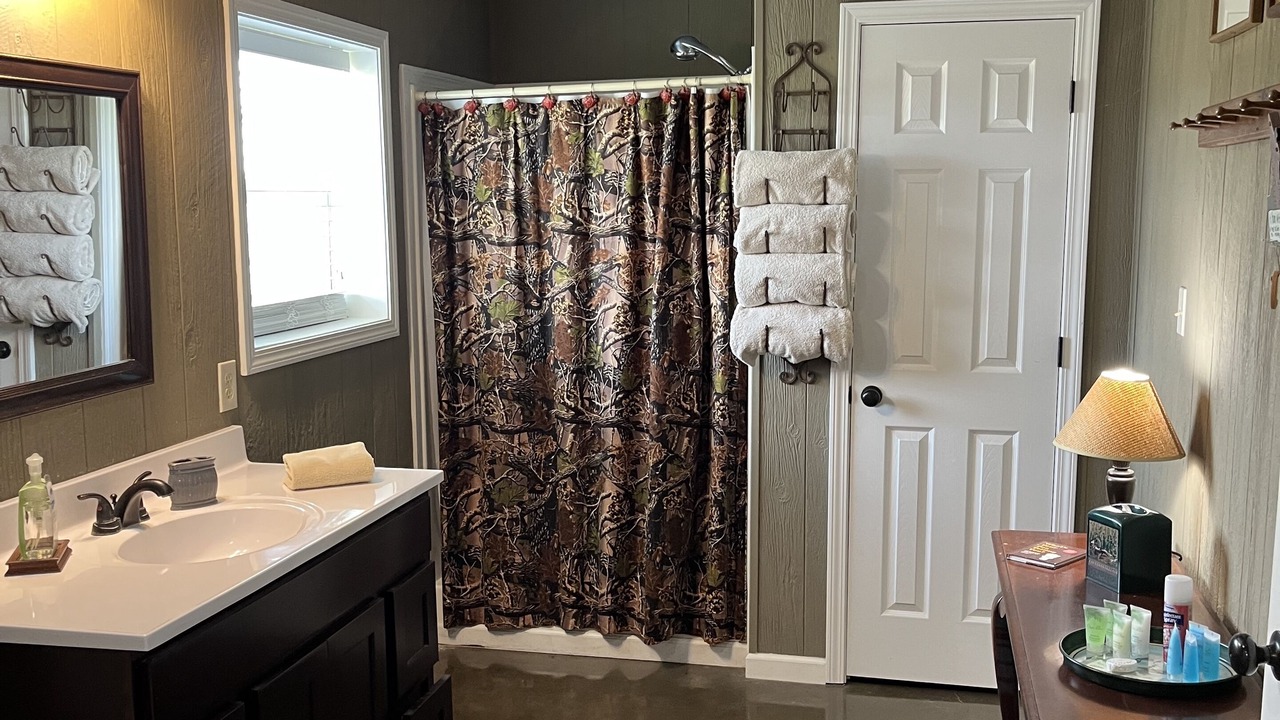 Photo of Bathroom in Hornbeak