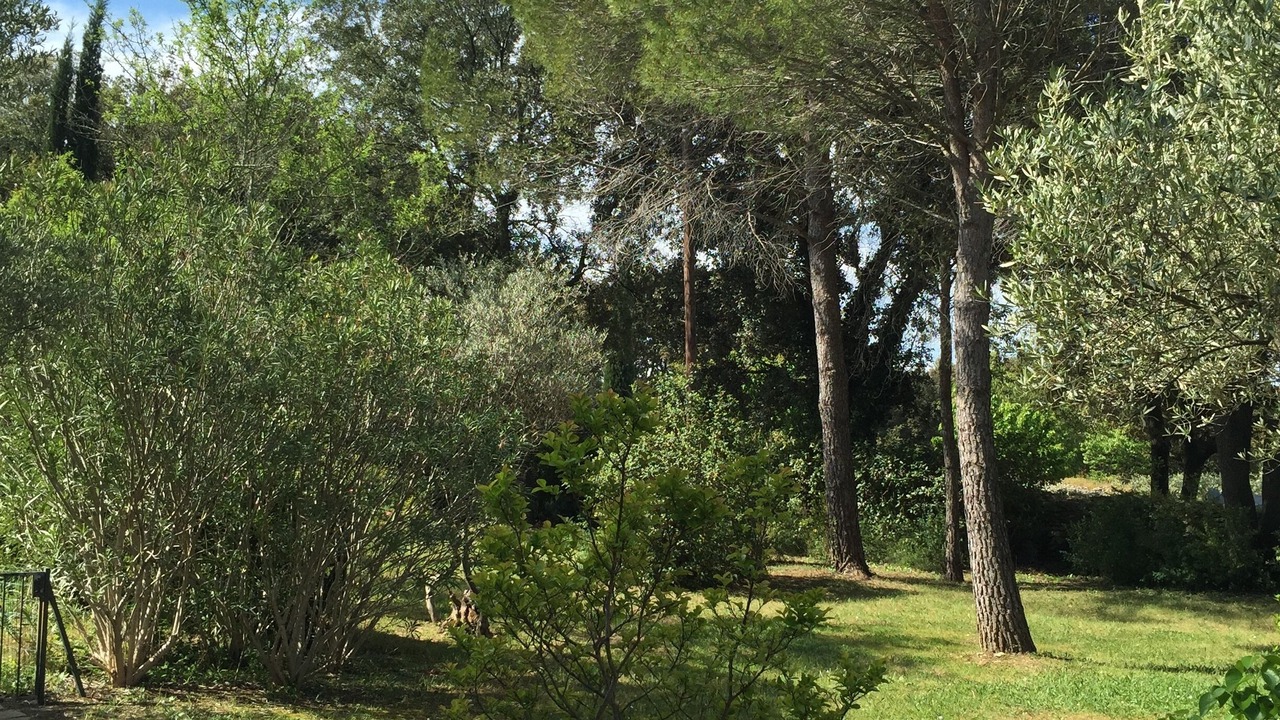 Photo of Outdoor in Sommieres