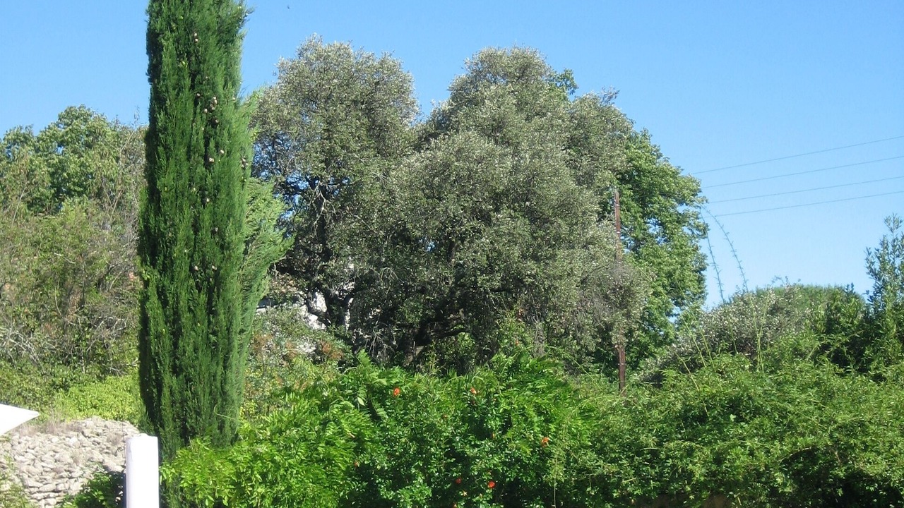 Photo of Outdoor in Sommieres