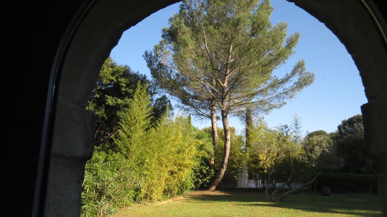 Photo of Others in Sommieres