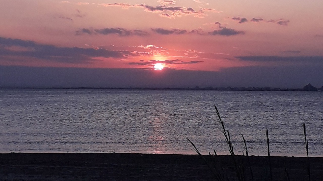 Photo of Others in Le Grau-Du-Roi