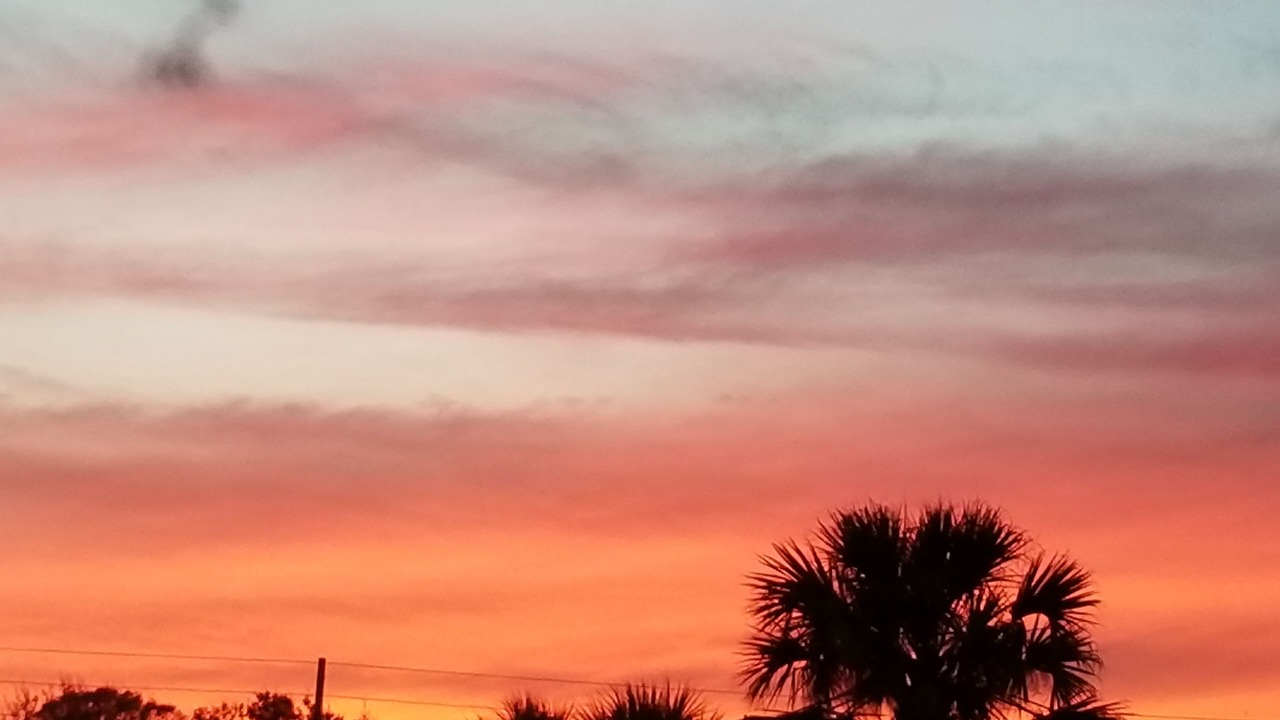Photo of Others in Neptune Beach