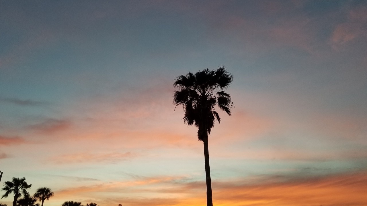 Photo of Others in Neptune Beach