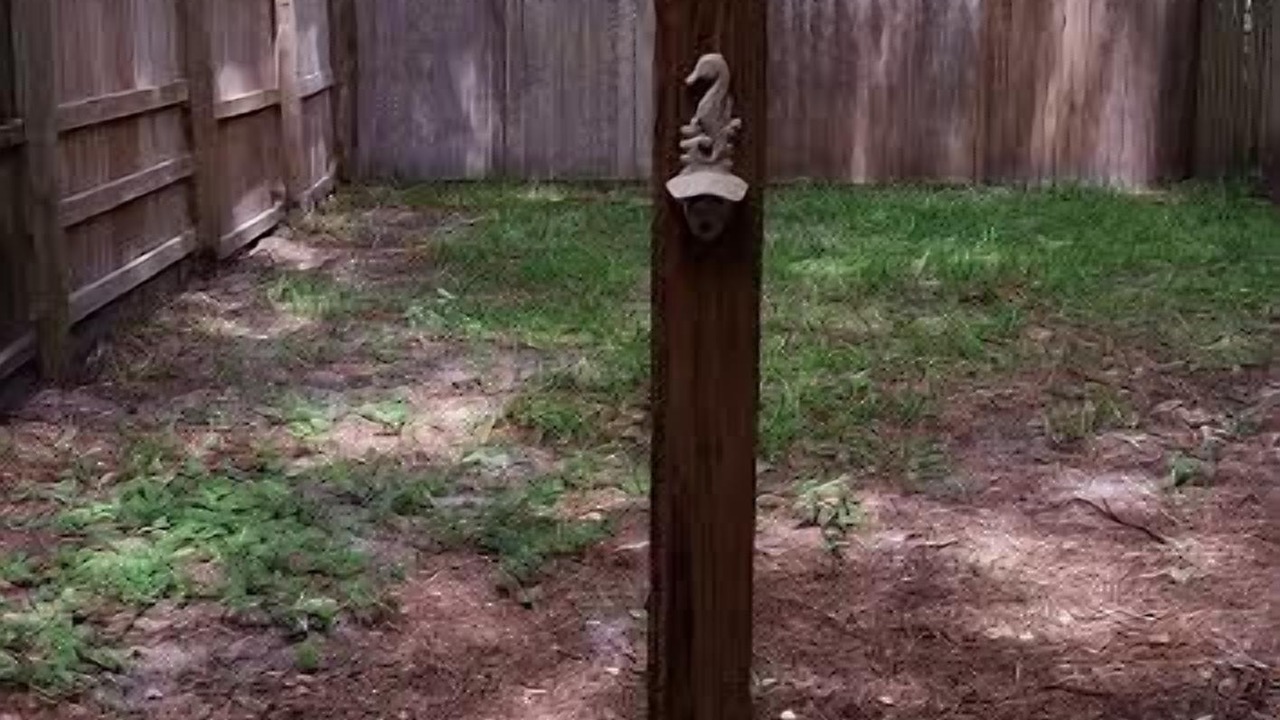 Photo of Outdoor in Neptune Beach