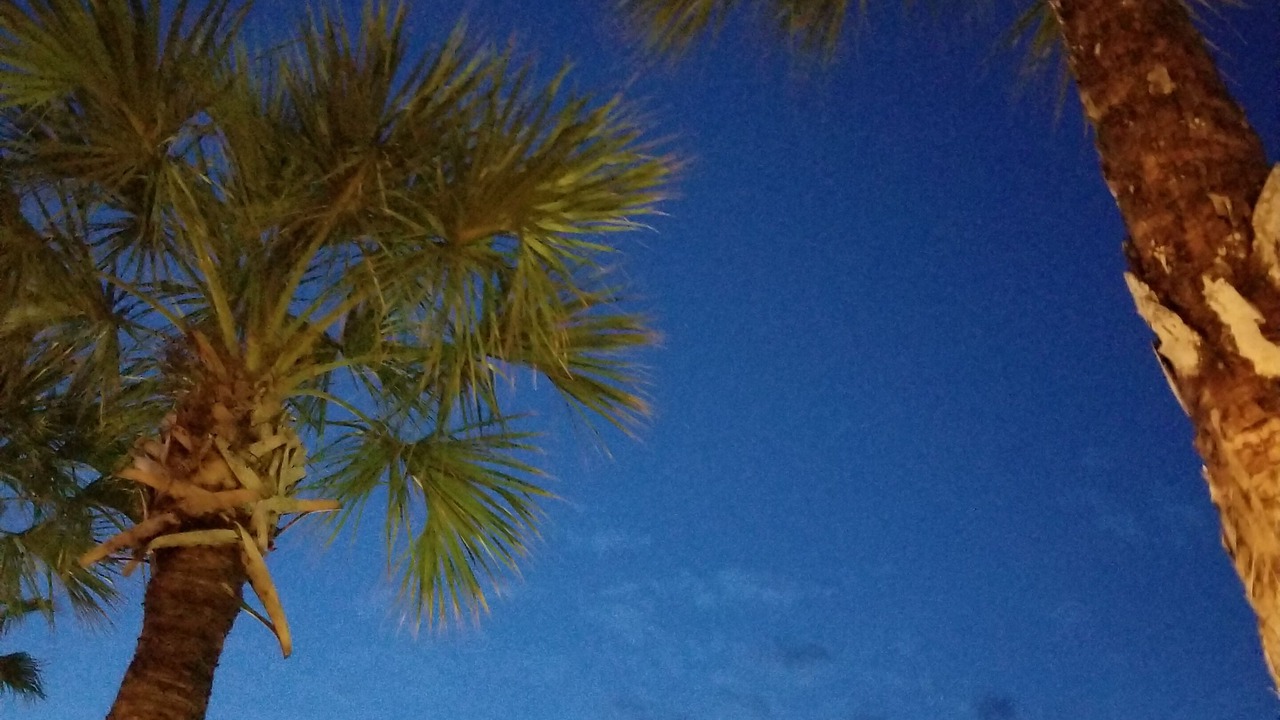 Photo of Others in Neptune Beach