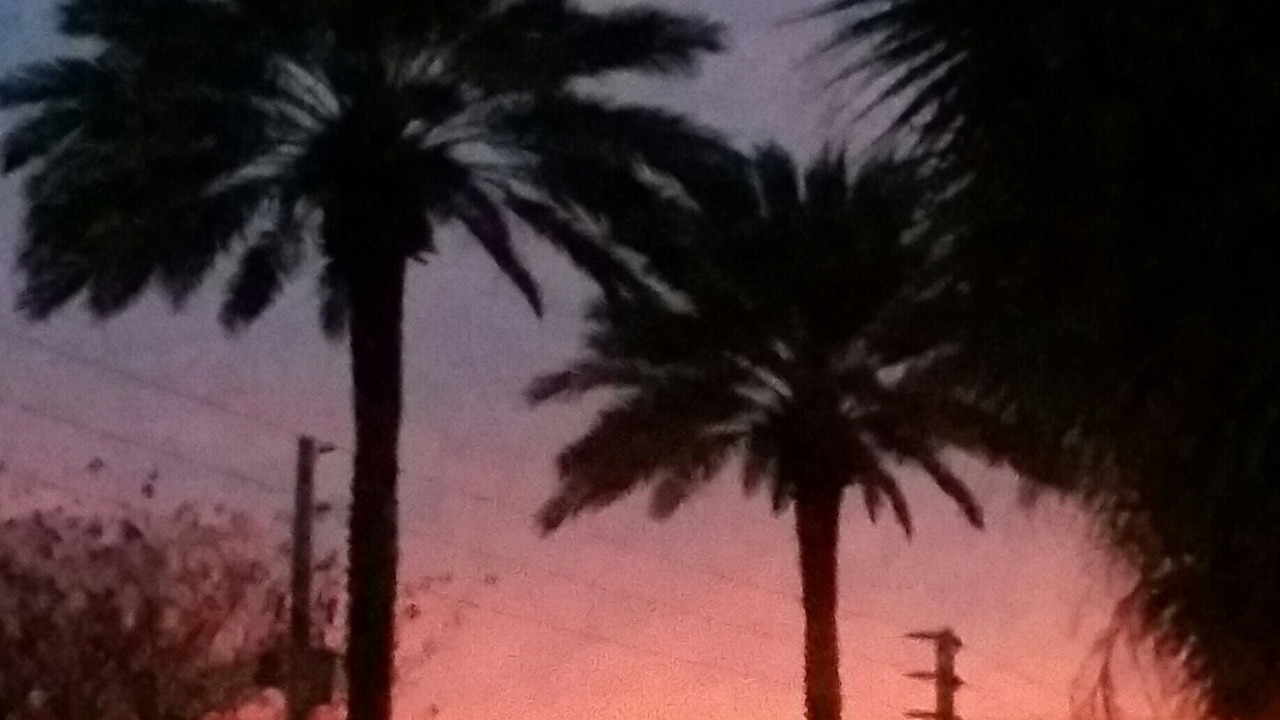 Photo of Others in Neptune Beach