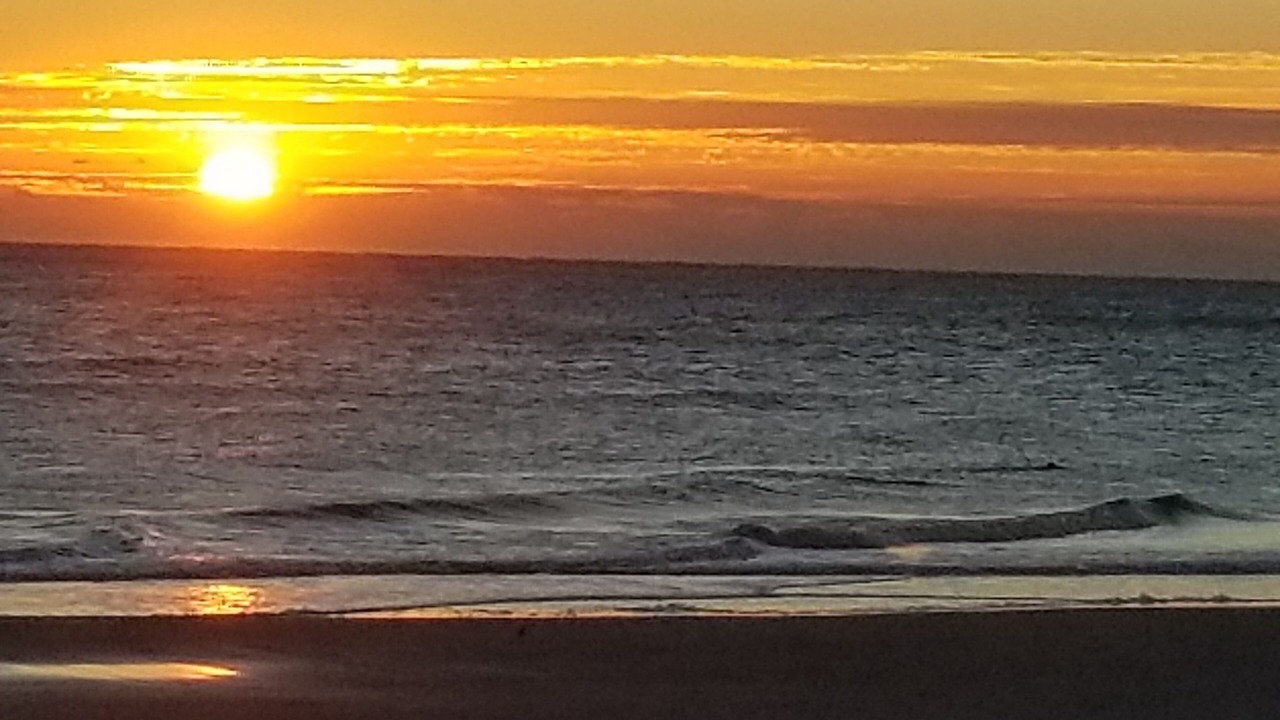 Photo of Others in Neptune Beach
