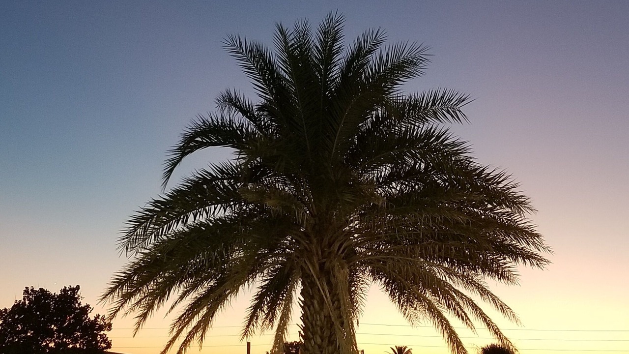 Photo of Others in Neptune Beach
