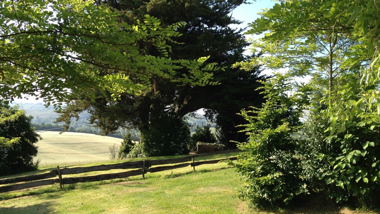 Photo of Outdoor in Labastide-Paumes