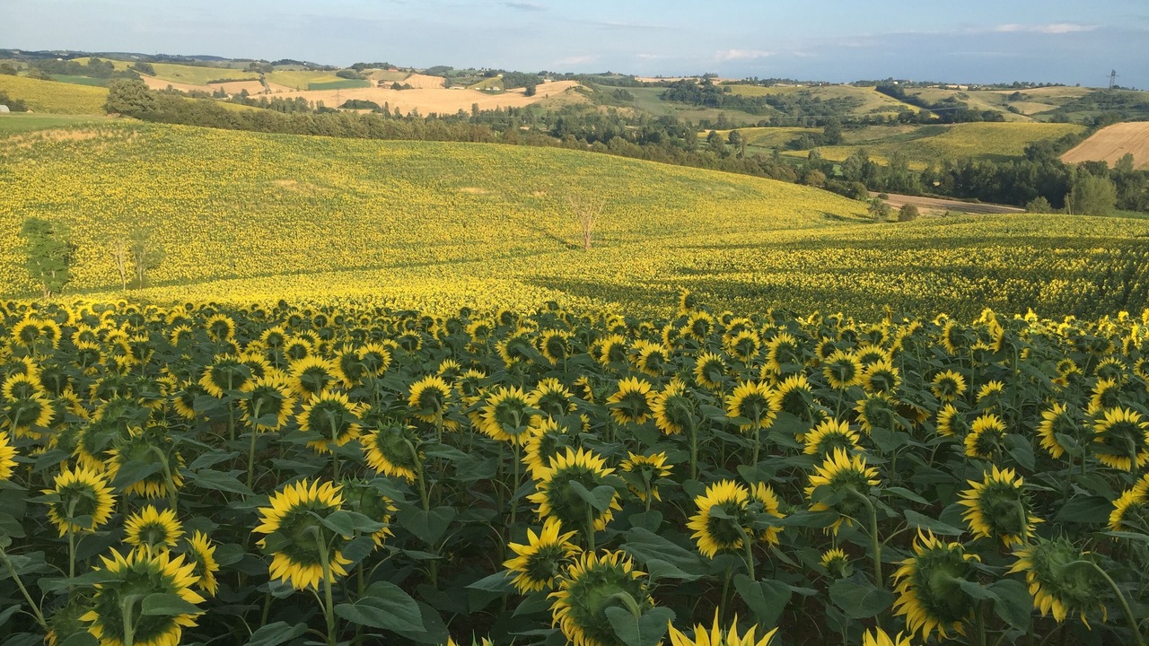 Photo of Outdoor in Labastide-Paumes