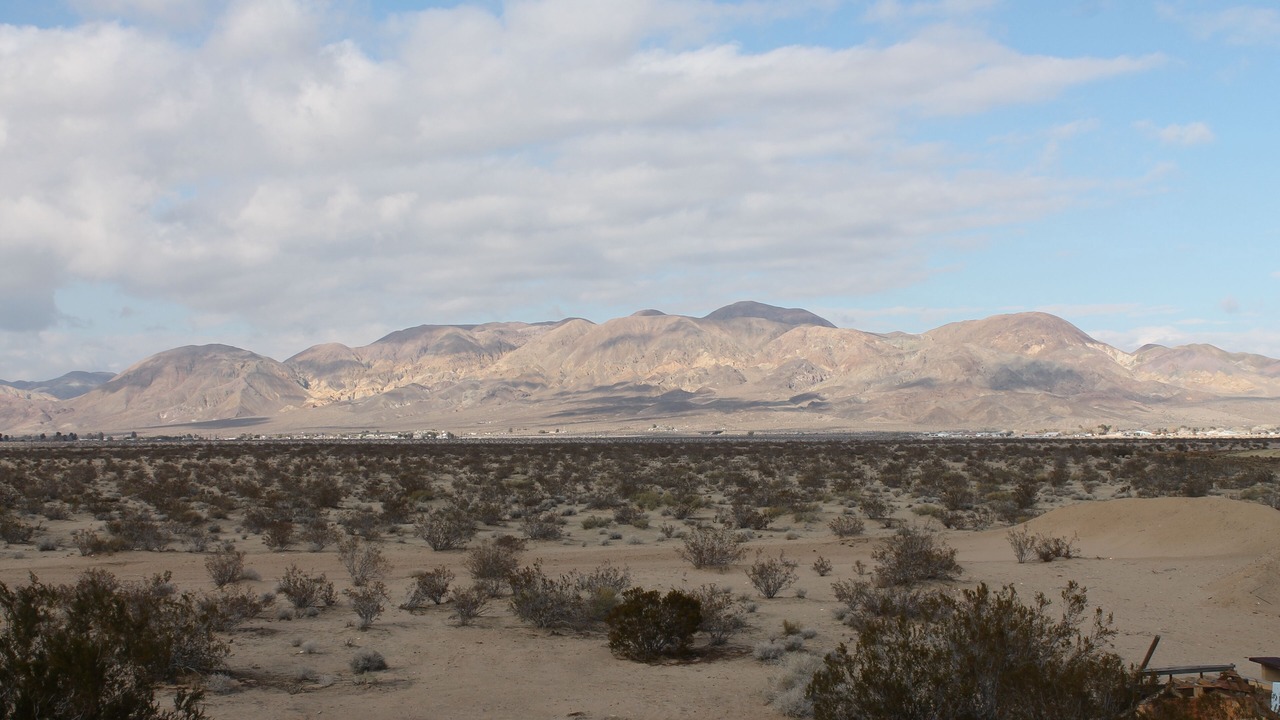 Photo of Others in Yermo