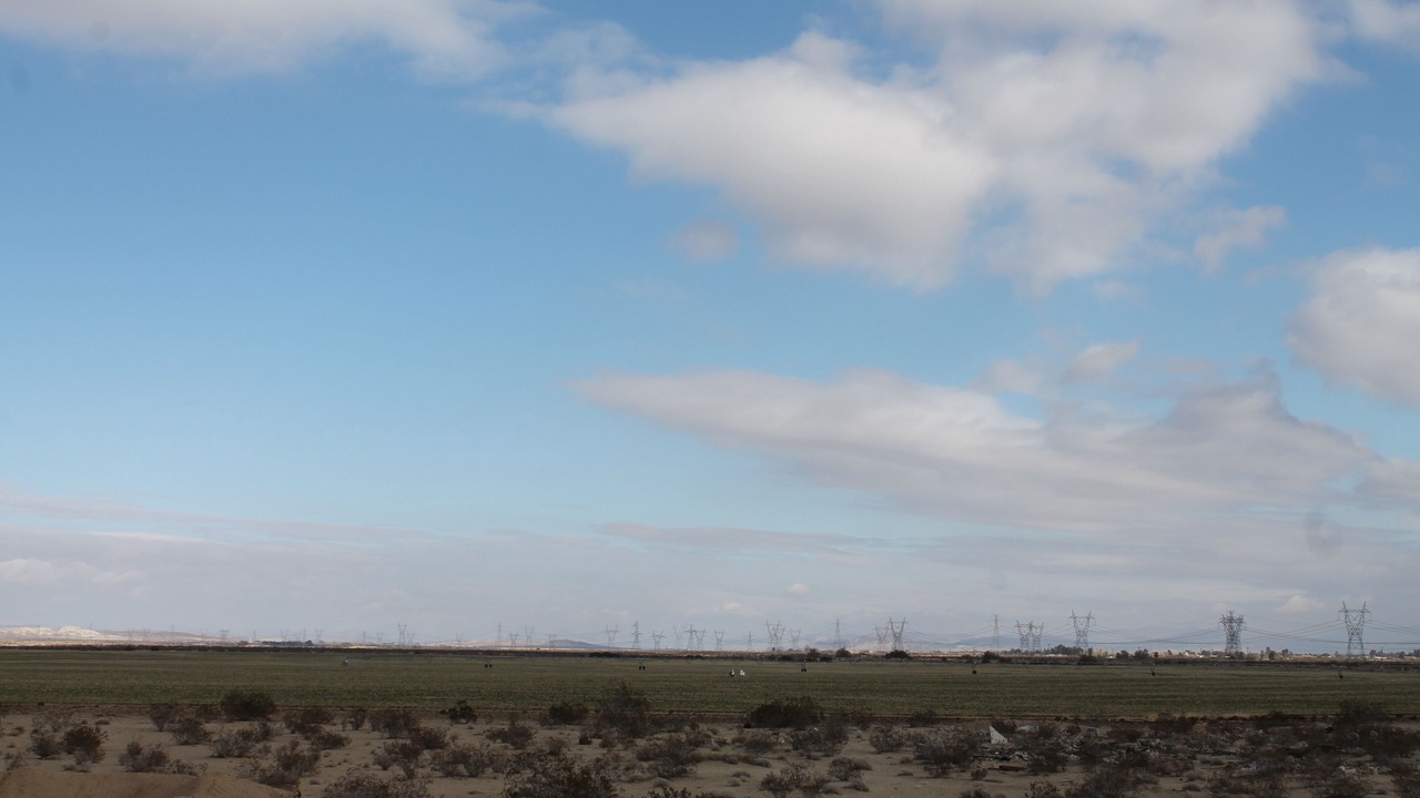 Photo of Others in Yermo