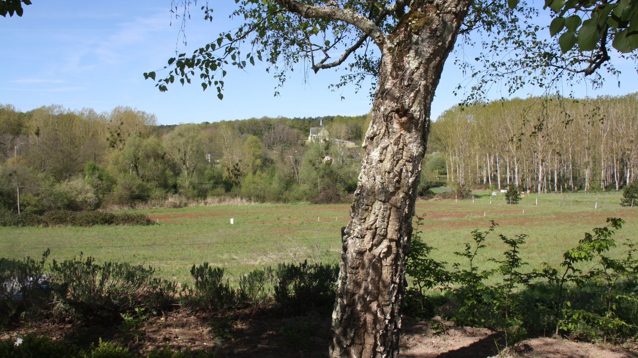 Photo of Outdoor in Langeais