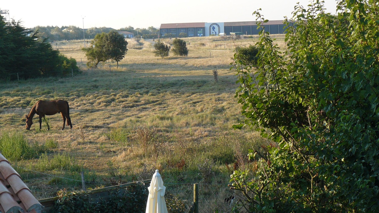 Photo of Outdoor in Noirmoutier-en-l'Ile