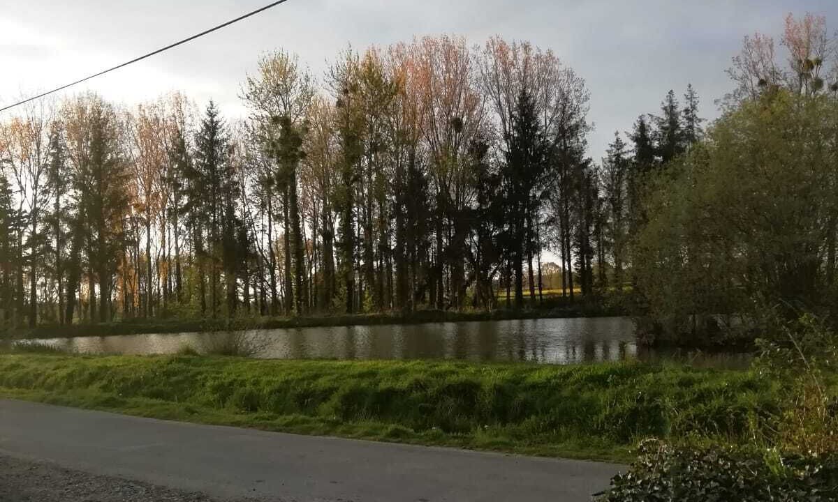 Photo of Others in Landehen