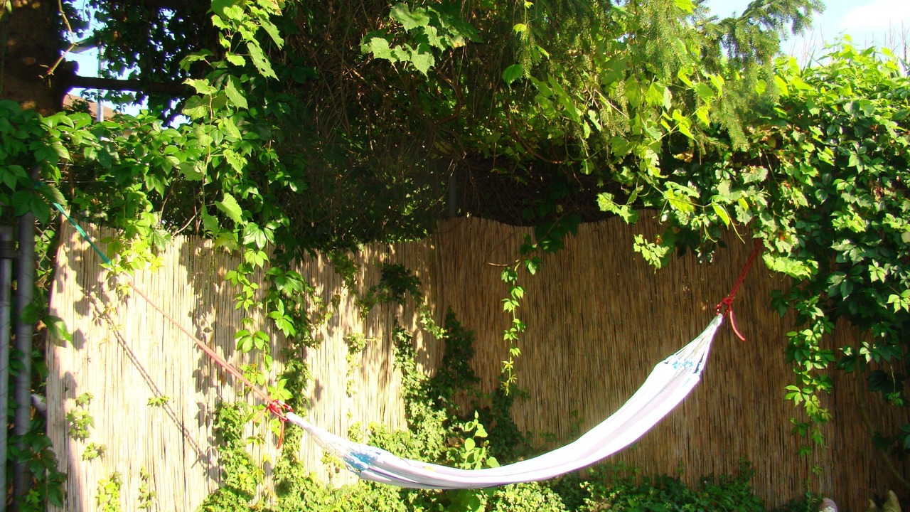 Photo of Outdoor in Steckborn