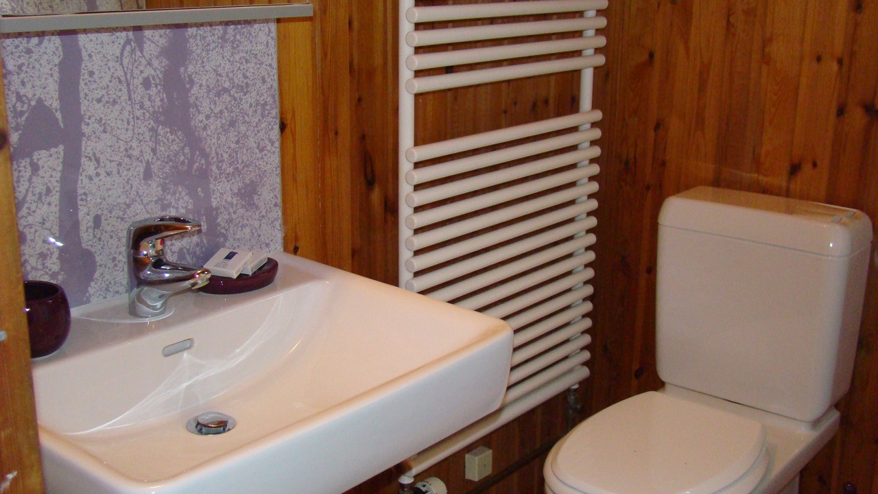 Photo of Bathroom in Steckborn