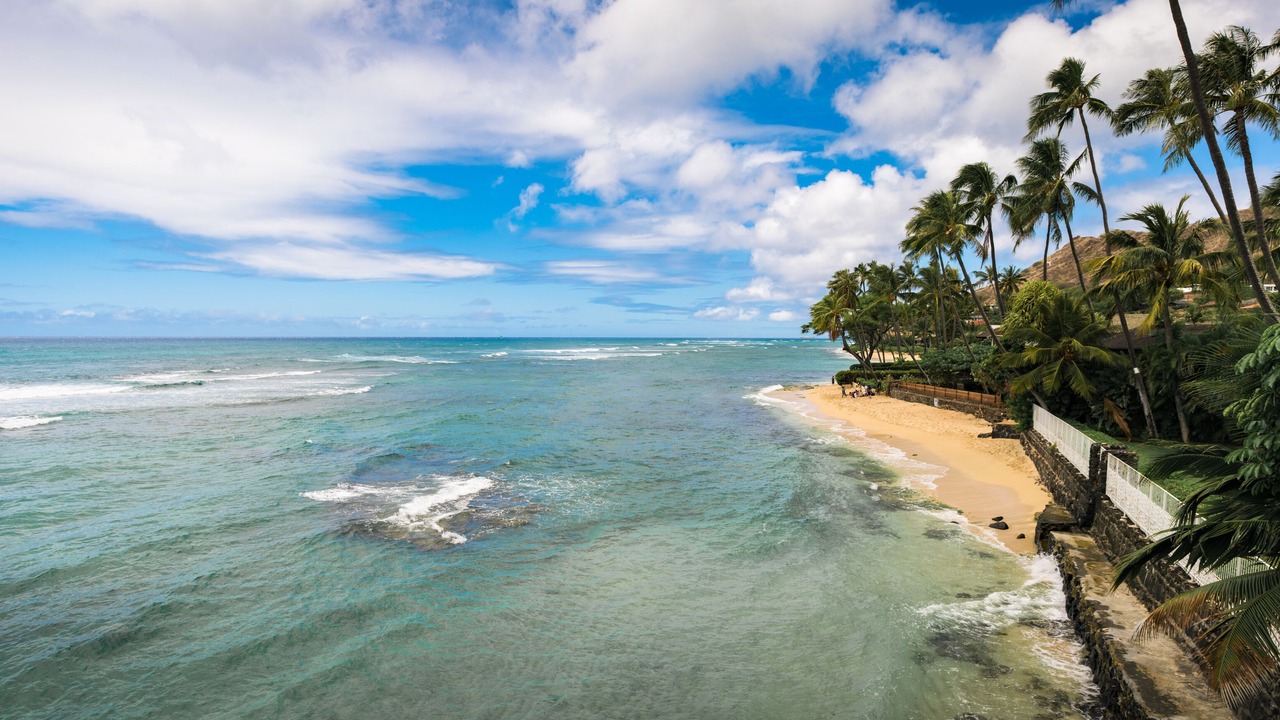 Photo of Others in Kahala