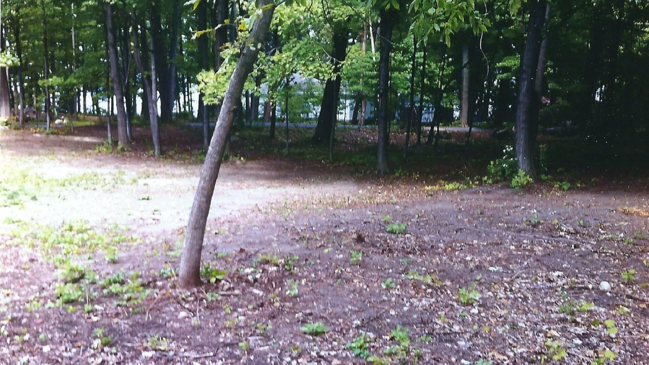 Photo of Others in North Hero