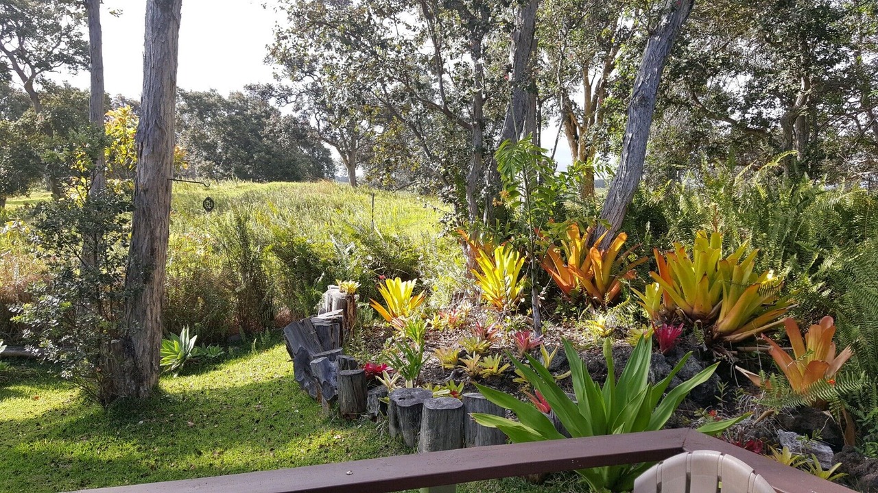 Photo of Others in Naalehu
