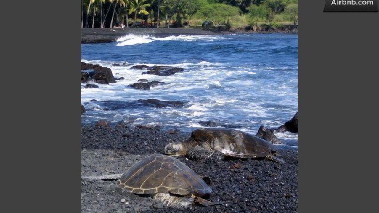 Photo of Others in Naalehu