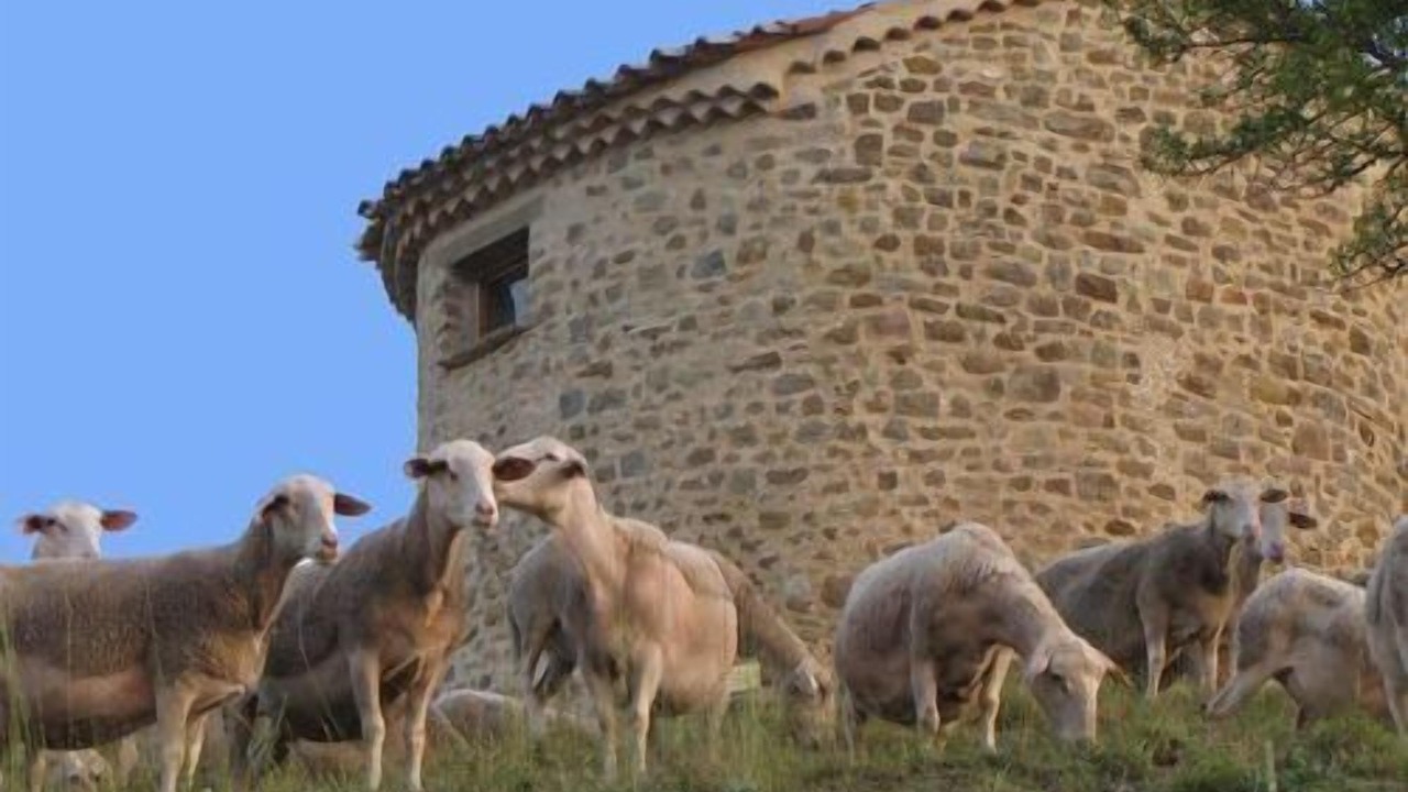 Photo of Outdoor in L'Epine