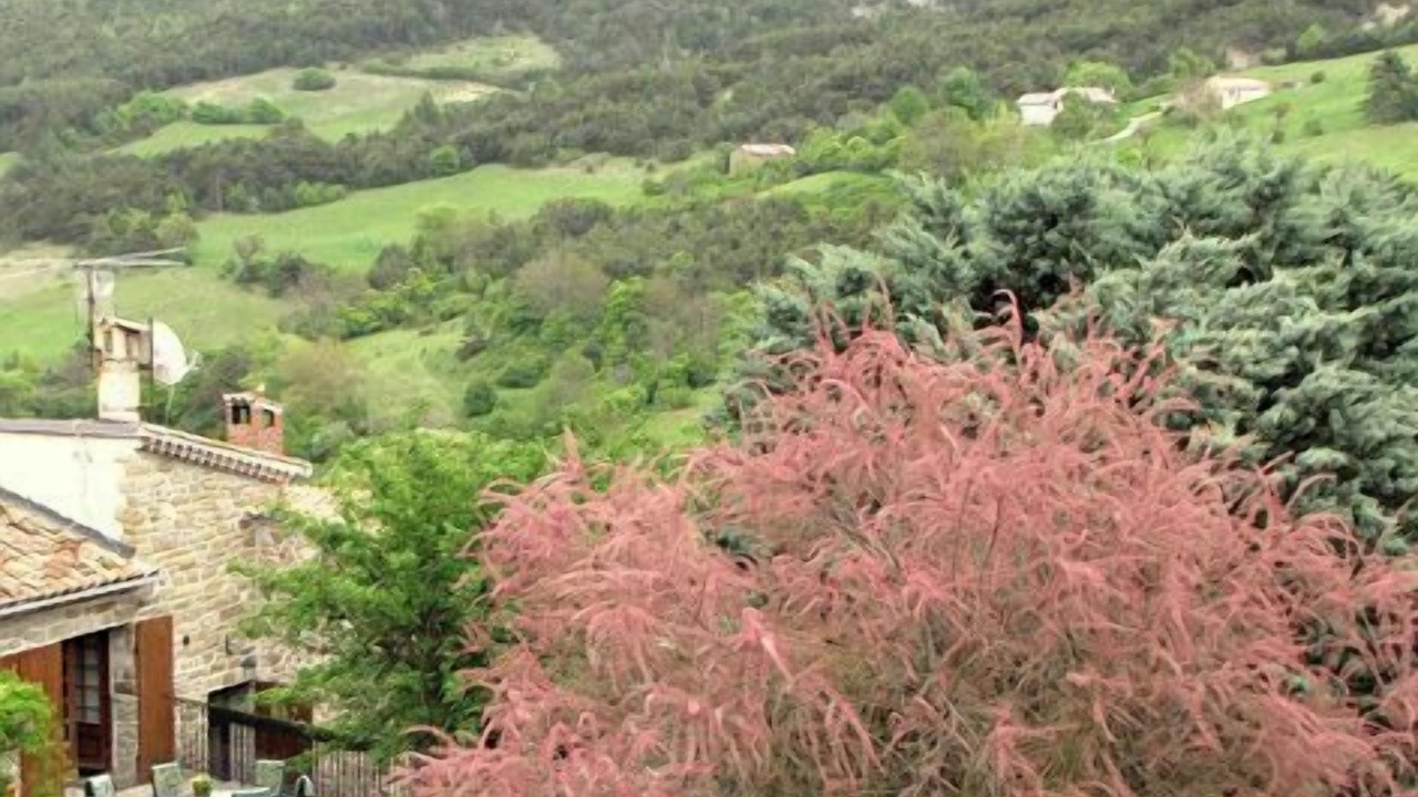 Photo of Outdoor in L'Epine