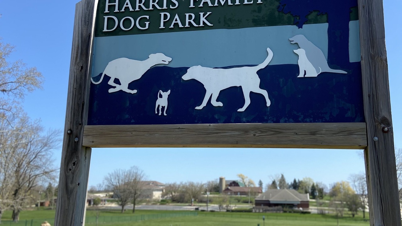 Photo of Others in Paddock Lake