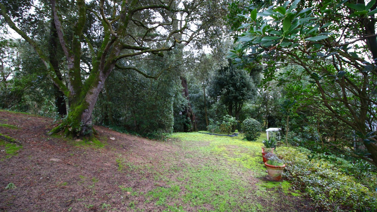 Photo of Outdoor in La Baule-Escoublac