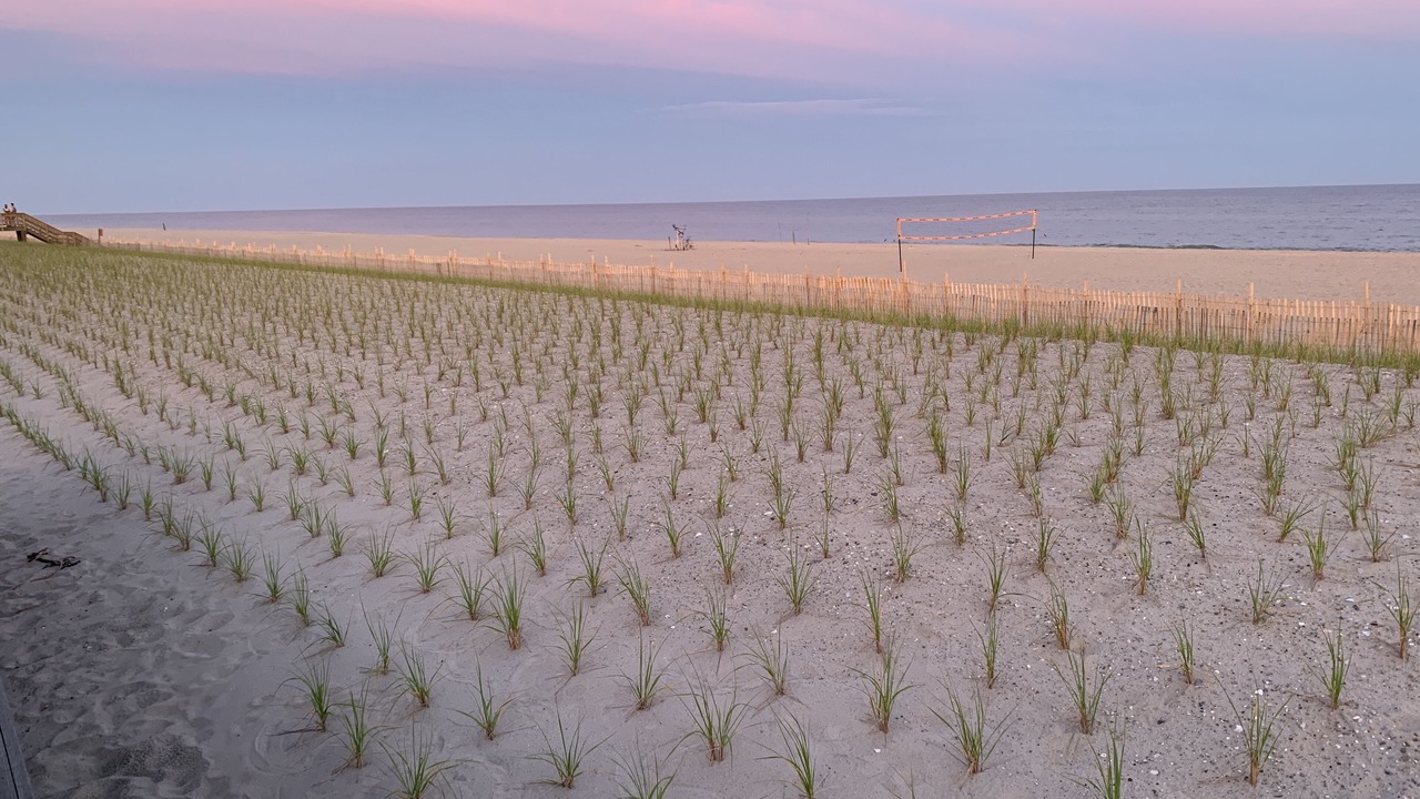 Photo of Others in Fire Island Pines