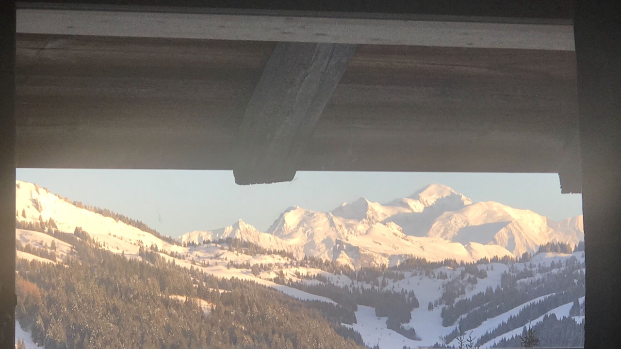 Photo of Others in Les Gets